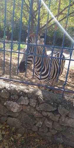 IMG-20221005-WA0218