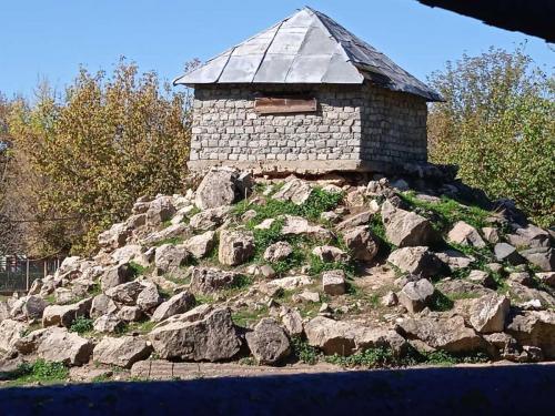 IMG-20221005-WA0256