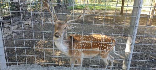 IMG-20221005-WA0356