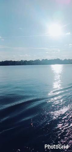 IMG-20221006-WA0207