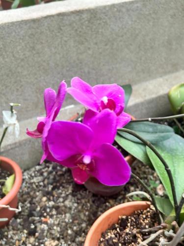 IMG-20240425-WA0122